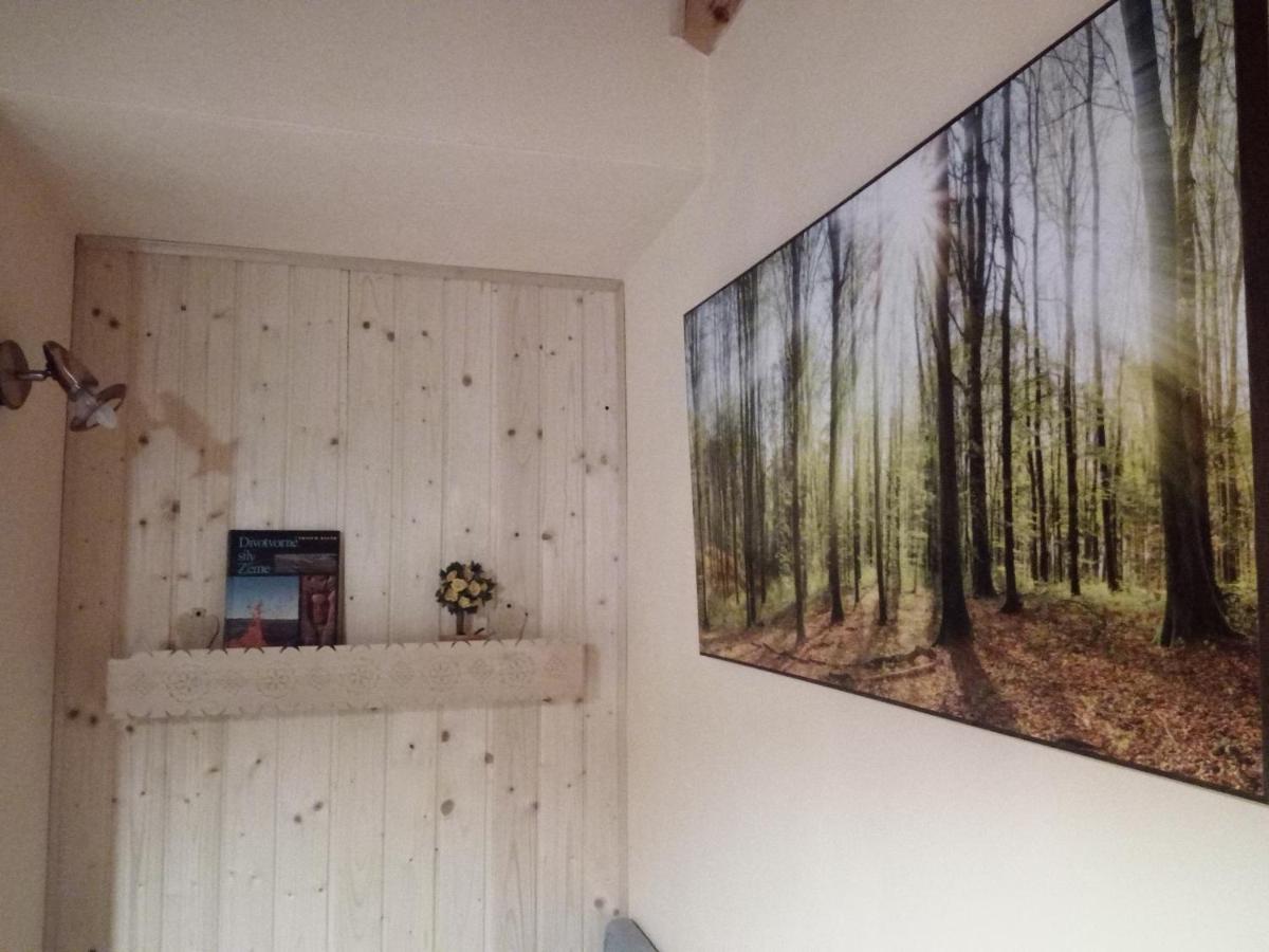 Studio Liptovský Trnovec Exteriör bild